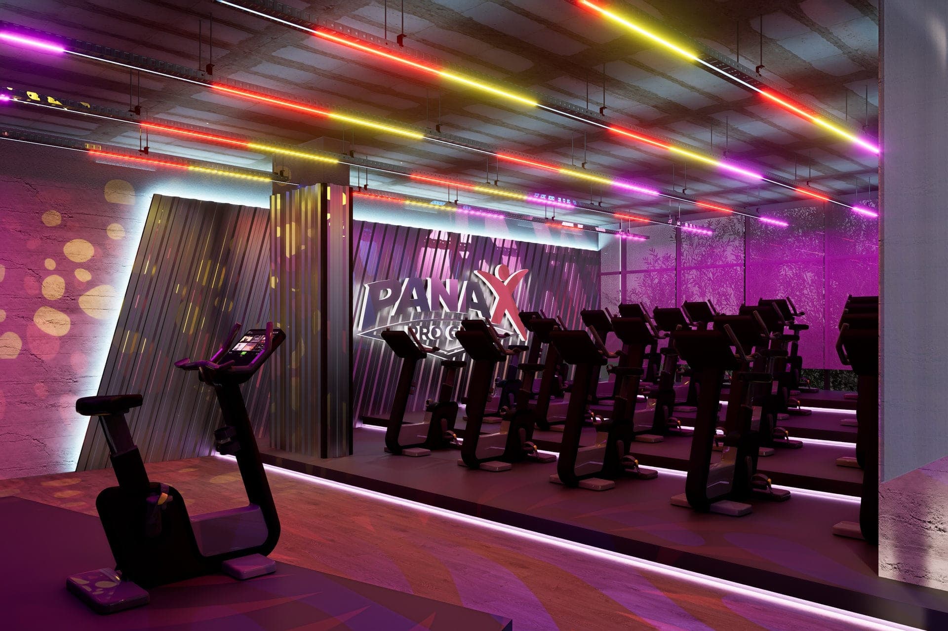 Panax Pro Gym Panax Pro Gym